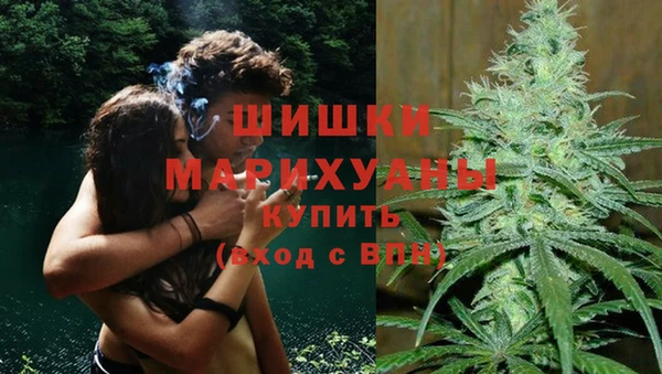 Альфа ПВП Бикин