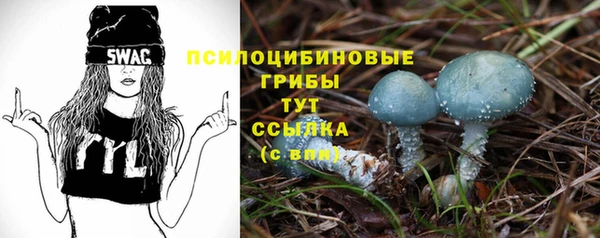 героин Лагань