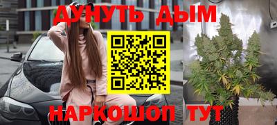 скорость Гатчина