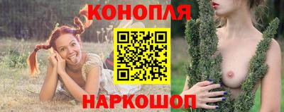 скорость Гатчина