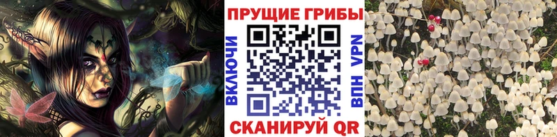 Псилоцибиновые грибы мицелий  OMG ссылка  Изобильный 