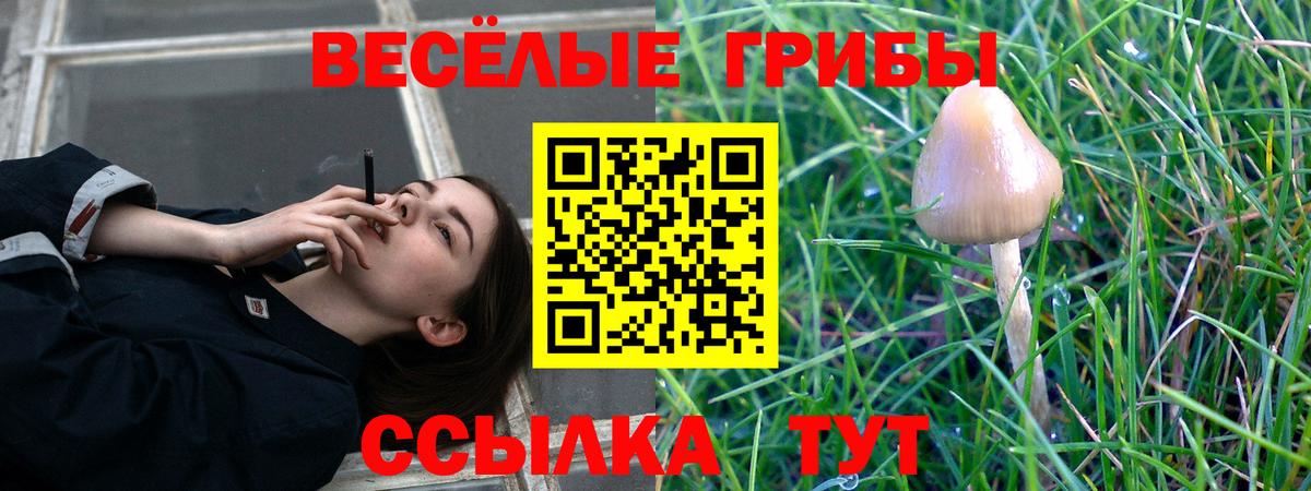 Галлюциногенные грибы Magic Shrooms  Изобильный  Псилоцибиновые грибы MAGIC MUSHROOMS 